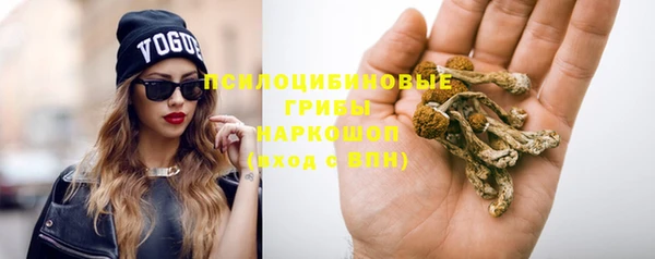 мяу мяу мука Корсаков